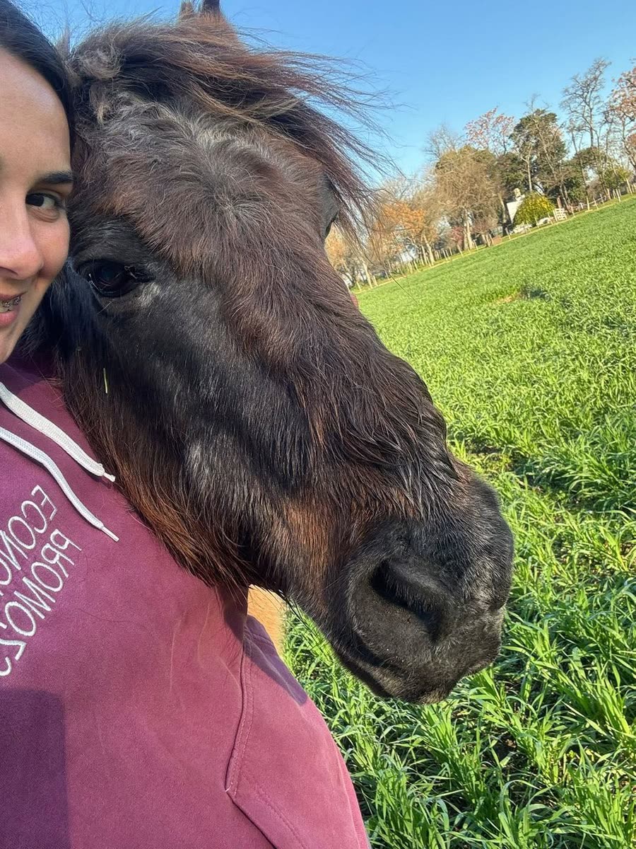 Una chica abrazada a la cabeza de su caballo en el campo